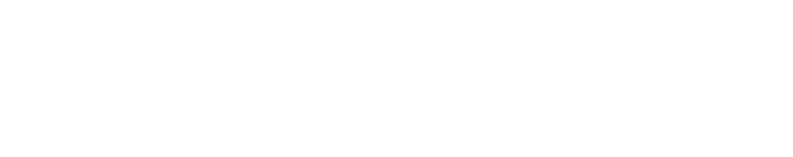 logo witrans